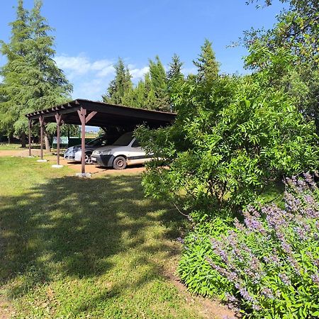 Casas Rurales Tabla Honda El Robledo  Esterno foto