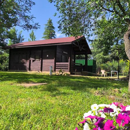 Casas Rurales Tabla Honda El Robledo  Esterno foto